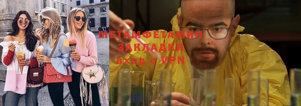 дживик Ельня