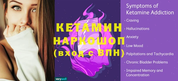дживик Ельня