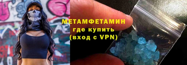 дживик Ельня