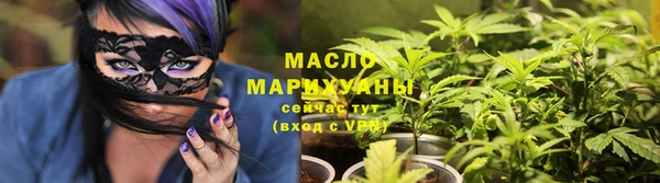 дживик Ельня