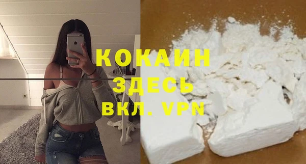 дживик Ельня