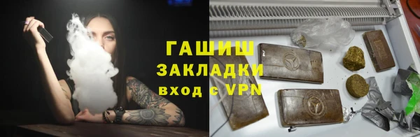 дживик Ельня