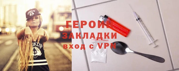 дживик Ельня