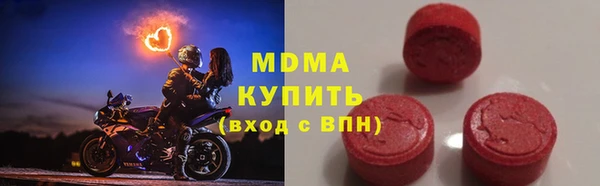дживик Ельня
