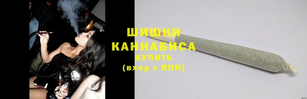 дживик Ельня
