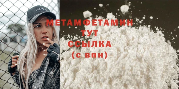 дживик Ельня