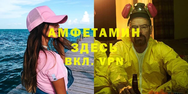дживик Ельня