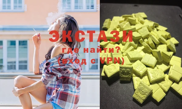 дживик Ельня