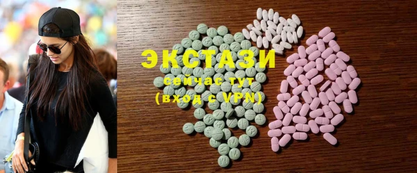 дживик Ельня