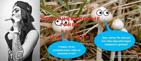 дживик Ельня