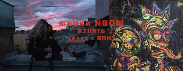 дживик Ельня