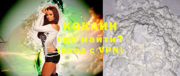 дживик Ельня