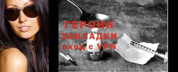 дживик Ельня